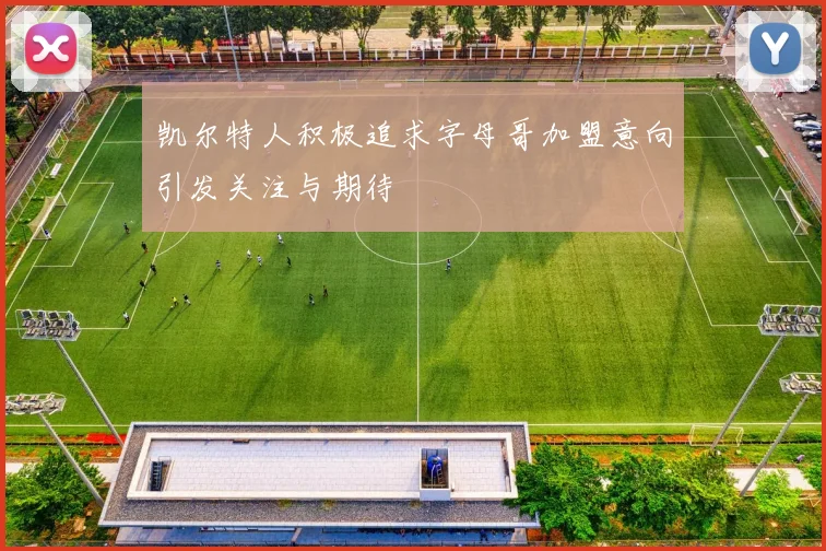 凯尔特人积极追求字母哥加盟意向引发关注与期待